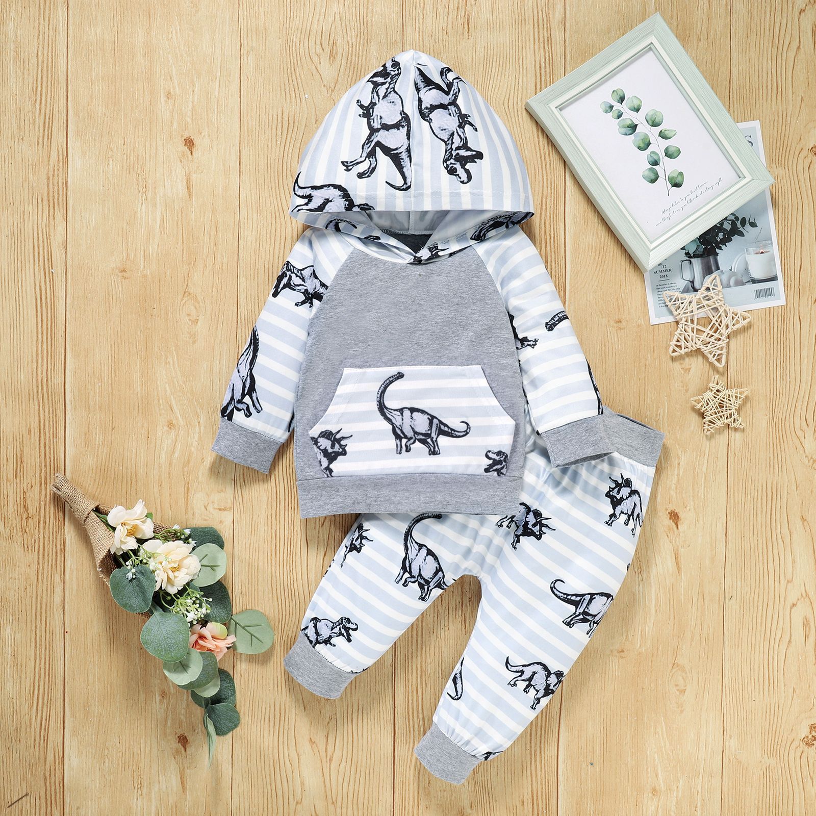 Boys Dinosaur Print Long Sleeve Hooded Pants Set