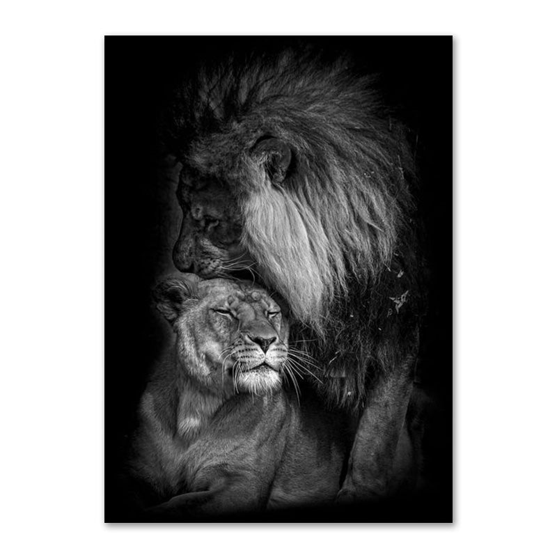 Black And White Lion Family Poster Canvas Print