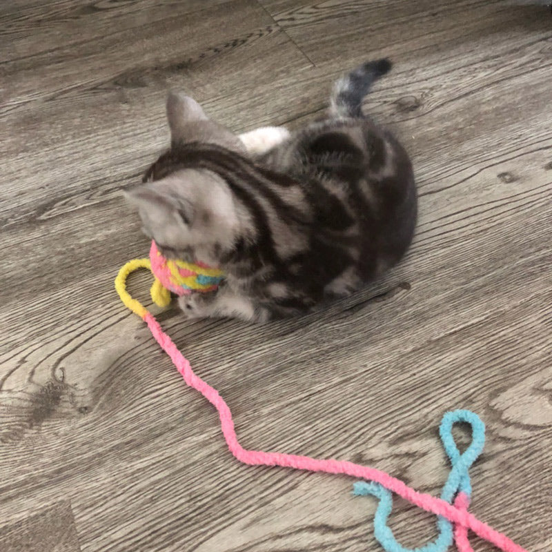 Yarn ball cat toy funny cat stick 