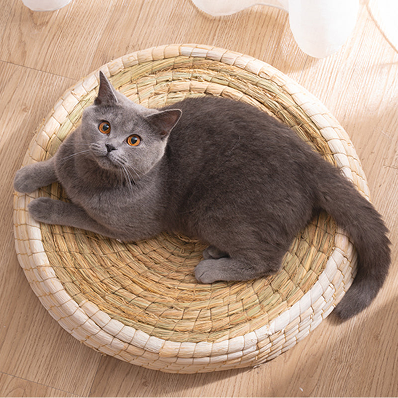 Teng Wok Felt House Cat Bed 