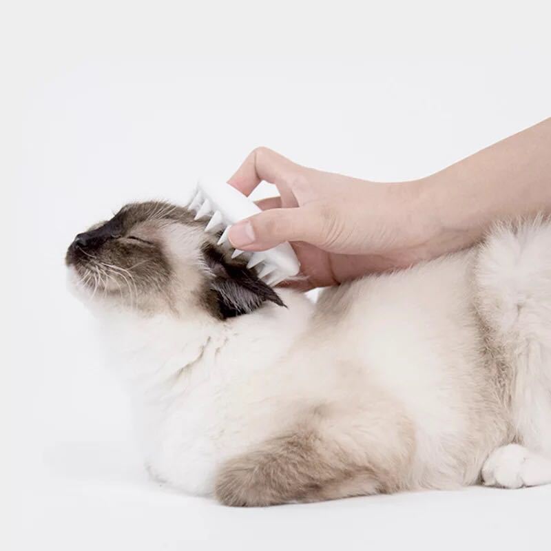 Cat Gloves Cat Grooming 