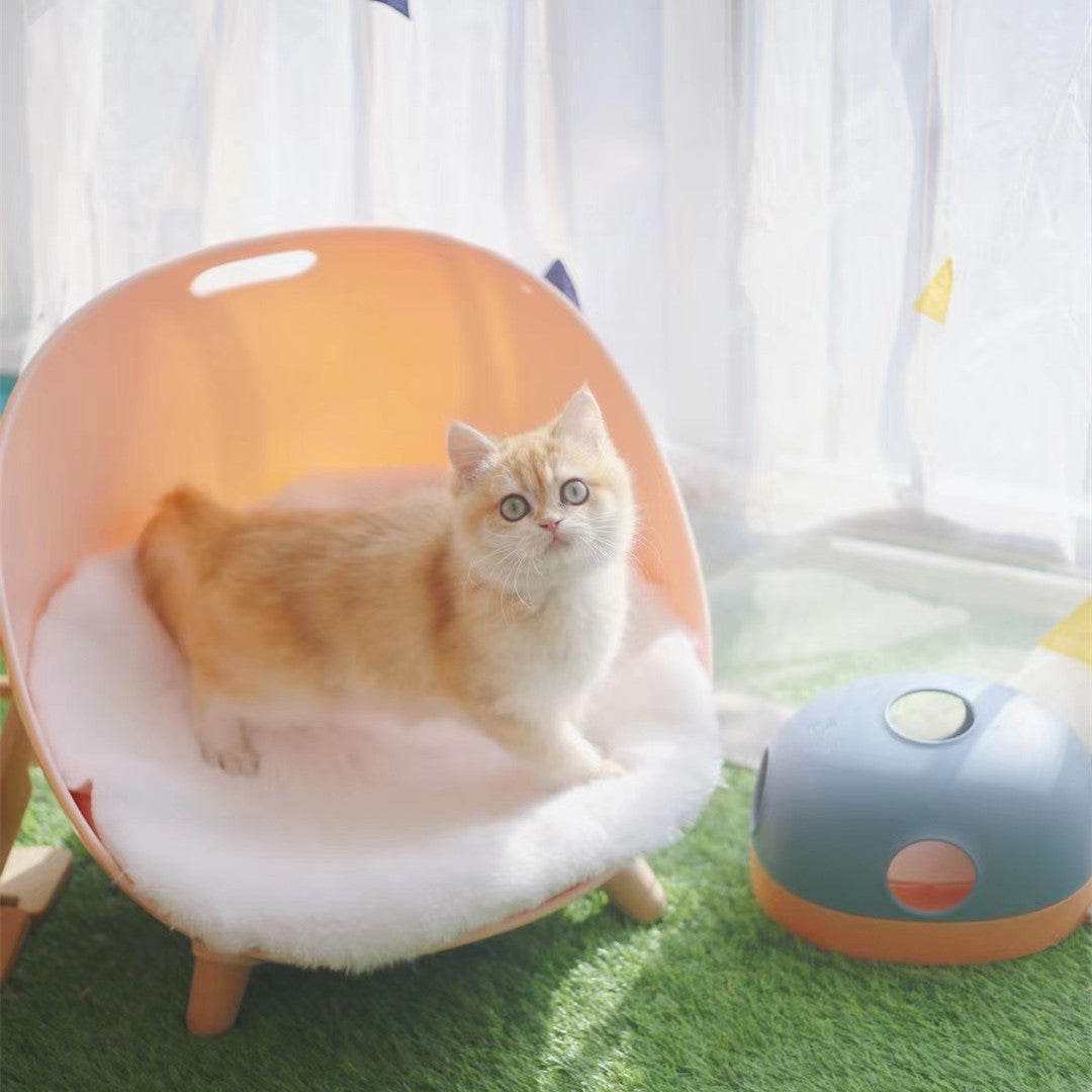 Cat Turntable Cat Toy 