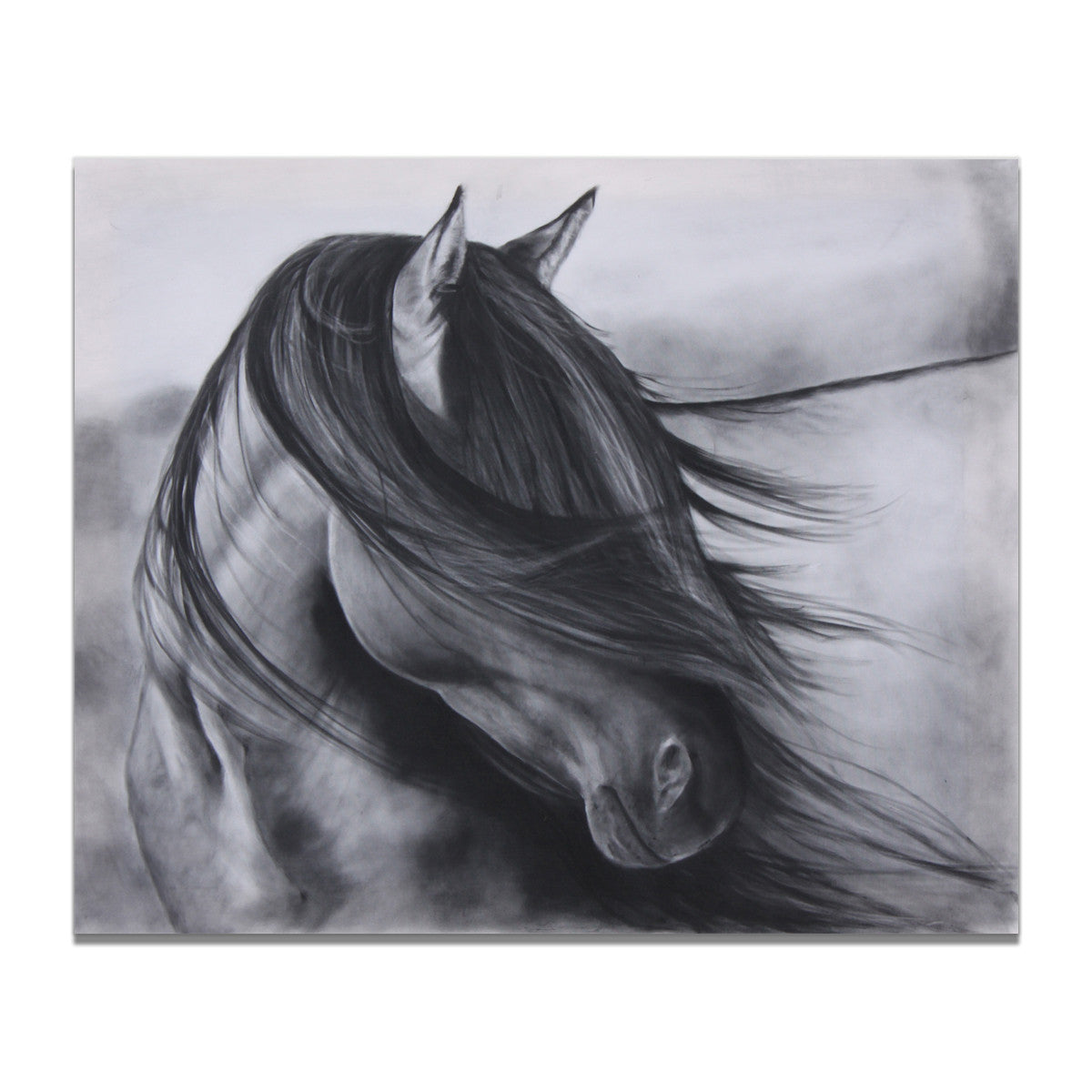 Nordic Decorative Painting Black And White Horses Horses Animal Photography Paintings Living Room Spray Painting Core