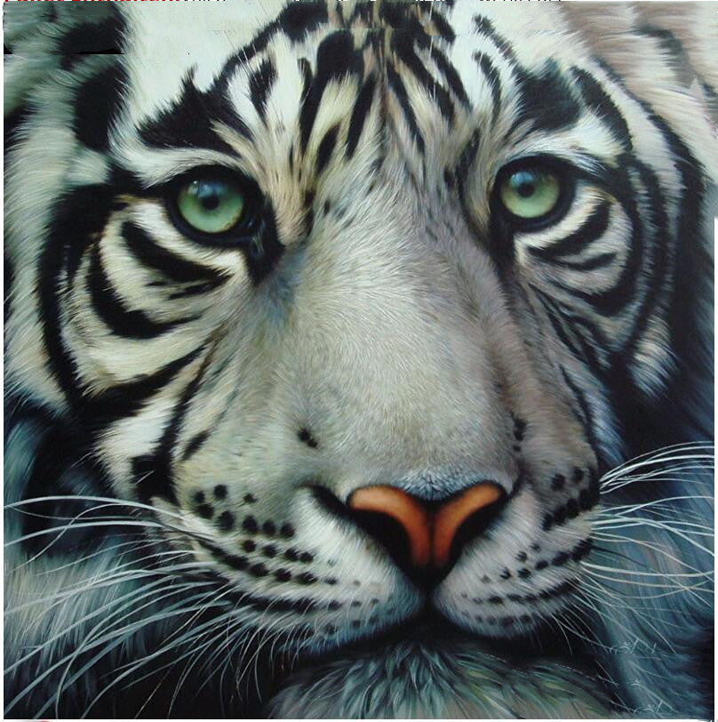 5D Diy Diamond Painting Animal Tiger 3D Embroidery Cross Stitch