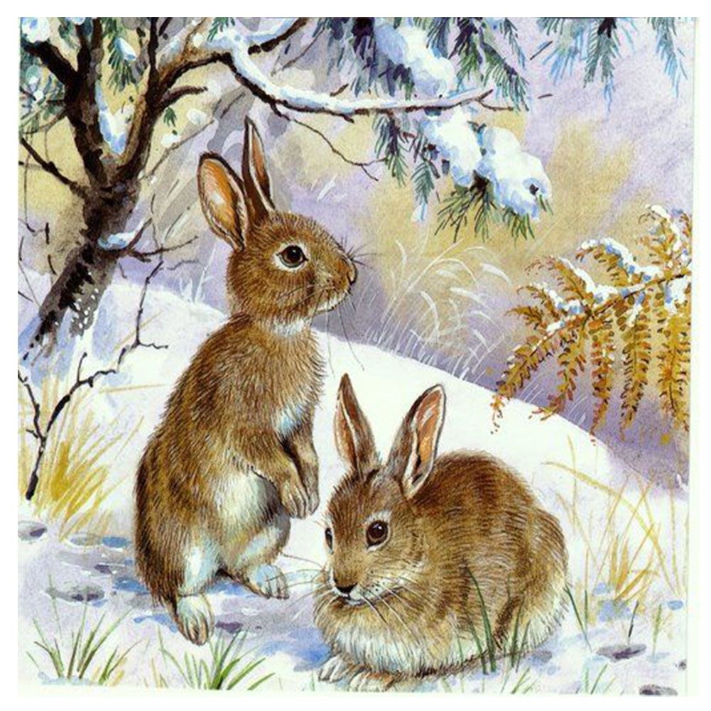 5D Diamond And Rabbit Digital Resin Rhinestone Painting Kit