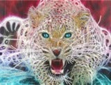 5D Pearl Diamond Painting-Colorful Tiger