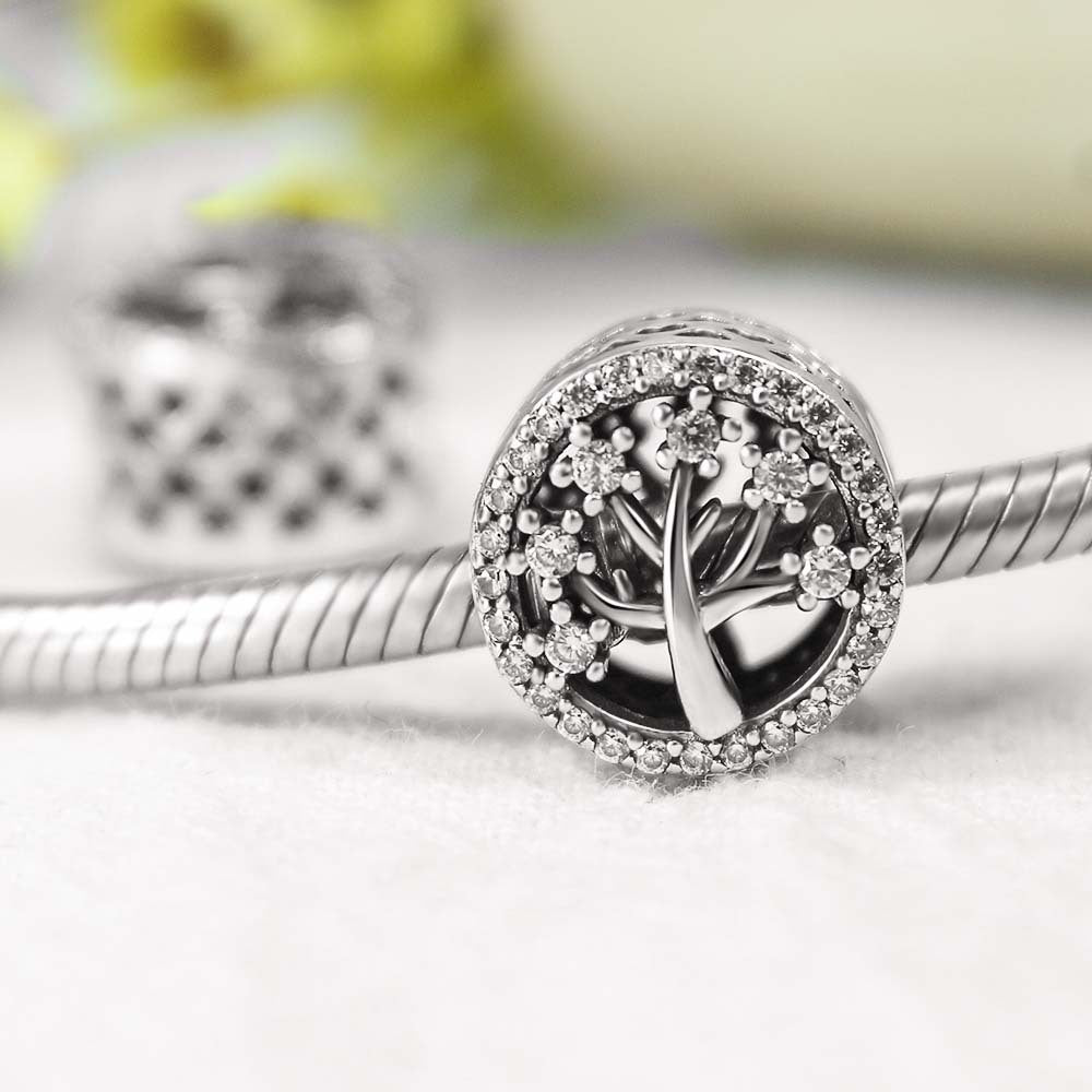 One Piece 925 Sterling Silver Bead Charm 