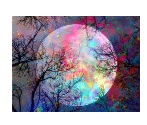 Moon Theme Diamond Painting Full 5D Embroidery Landscape Tree Mosaic