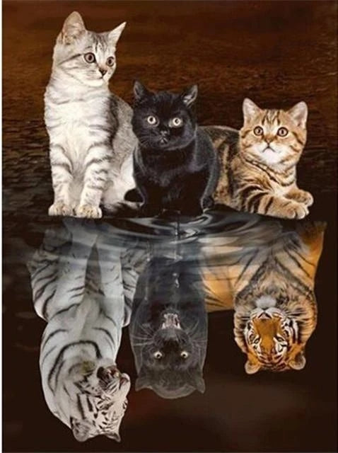 Intrigued reflection - Animal diamonds embroidery kit