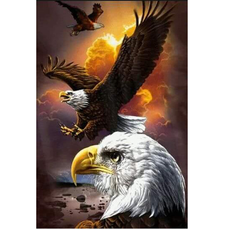 5D Diy Full Round Diamond Painting Soaring Eagle Mosaics Cross-stitch Diamond Embroidery New Year Decoration Gifts Diamant