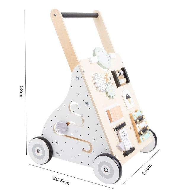 Early Childhood Educational Walker 