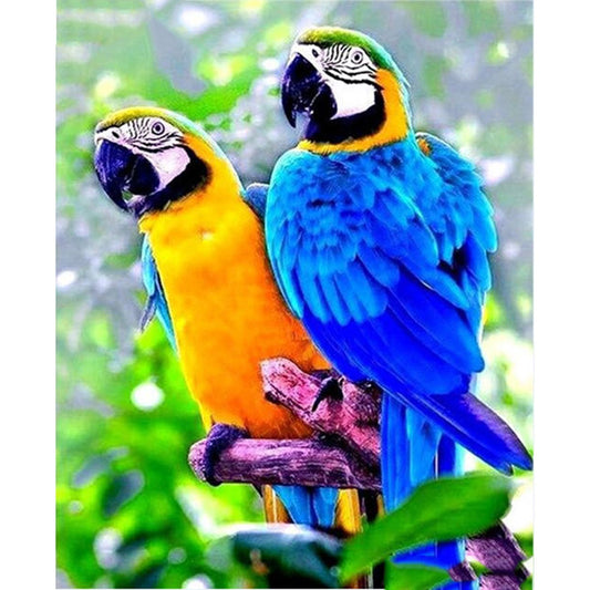 5D Diamond Painting Full Craft Picture Cross Stitch Embroidery Bird Parrot Animal