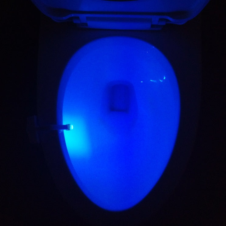 NightGlow Motion Sensor Toilet Light 