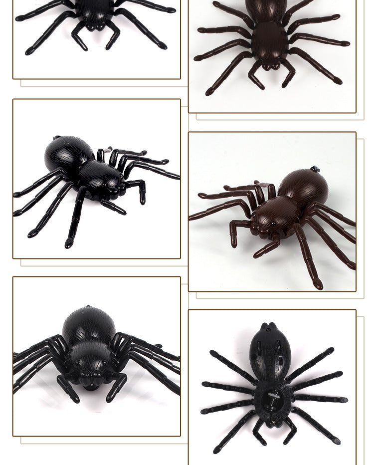 Remote Control Spider 