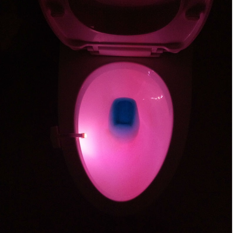 NightGlow Motion Sensor Toilet Light 