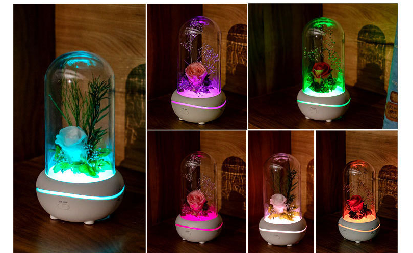 Creative Immortal Flower Incense Lamp