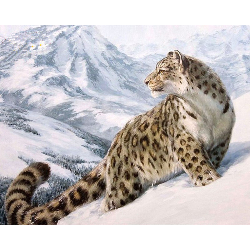 Snow leopard digital painting