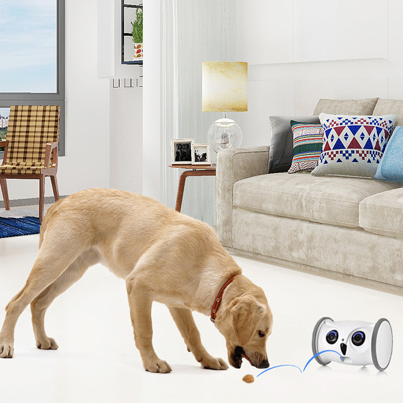 Intelligent Pet Companion Robot With Automatic Feeder