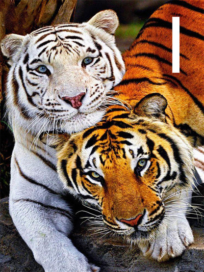 5D DIY Diamond Painting Tiger Square Round Embroidery