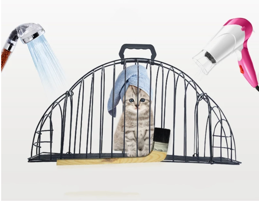 Cats Use A Bath And Transport Cage To Prevent Scratching 