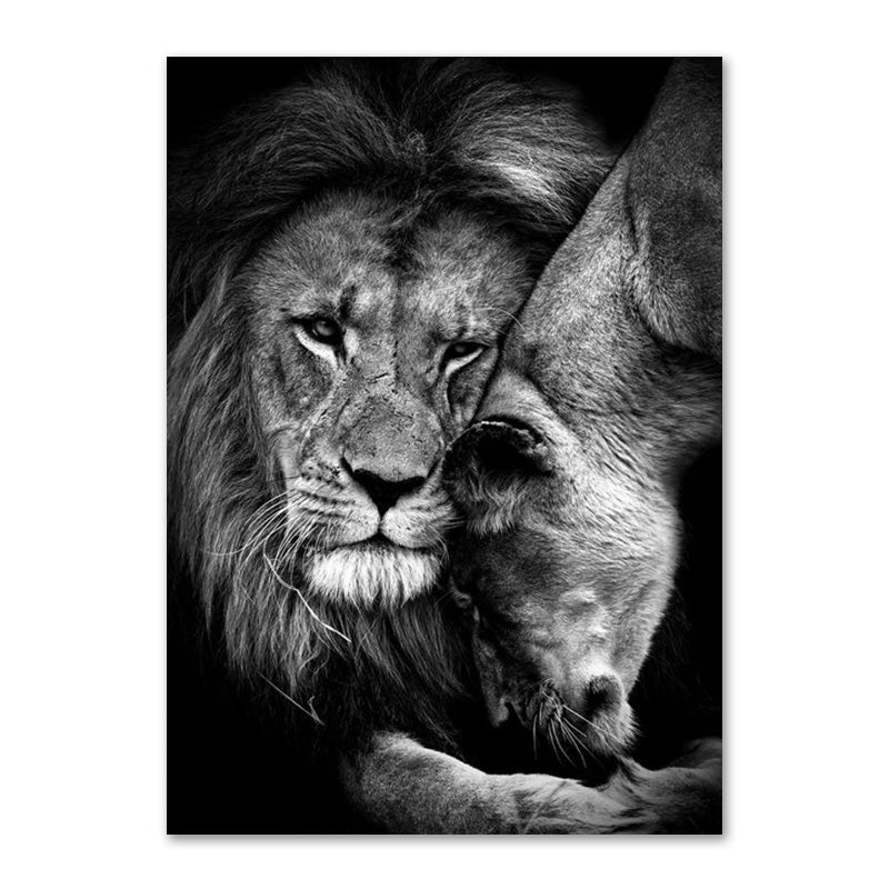 Black And White Lion Family Poster Canvas Print