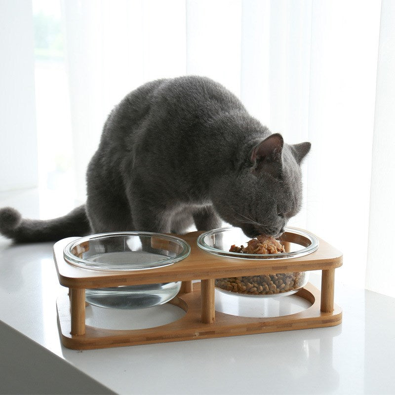 Glass cat bowl cat food bowl cat food bowl 