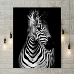 Plastic Zebra Themed Diamond Painting