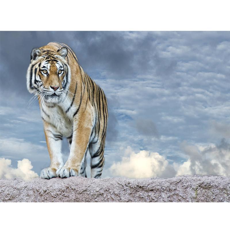 XXL - 5D Diamond Painting -  Allein Tiger