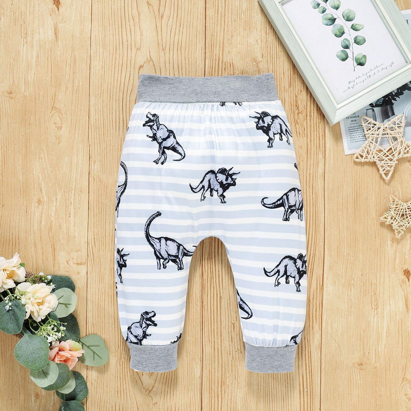 Boys Dinosaur Print Long Sleeve Hooded Pants Set