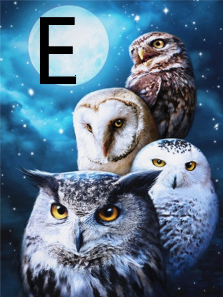 Owl Night Tree Pattern Embroidery Cross Stitch 5D Diamond Painting