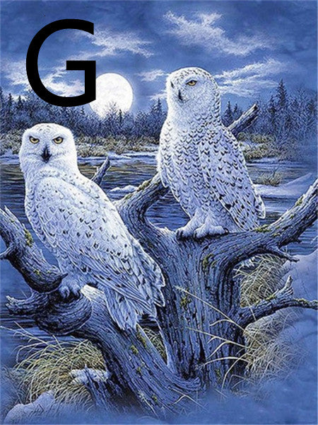 Owl Night Tree Pattern Embroidery Cross Stitch 5D Diamond Painting