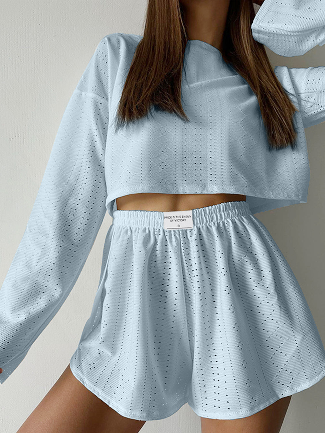 Eyelet Round Neck Top and Shorts Set 