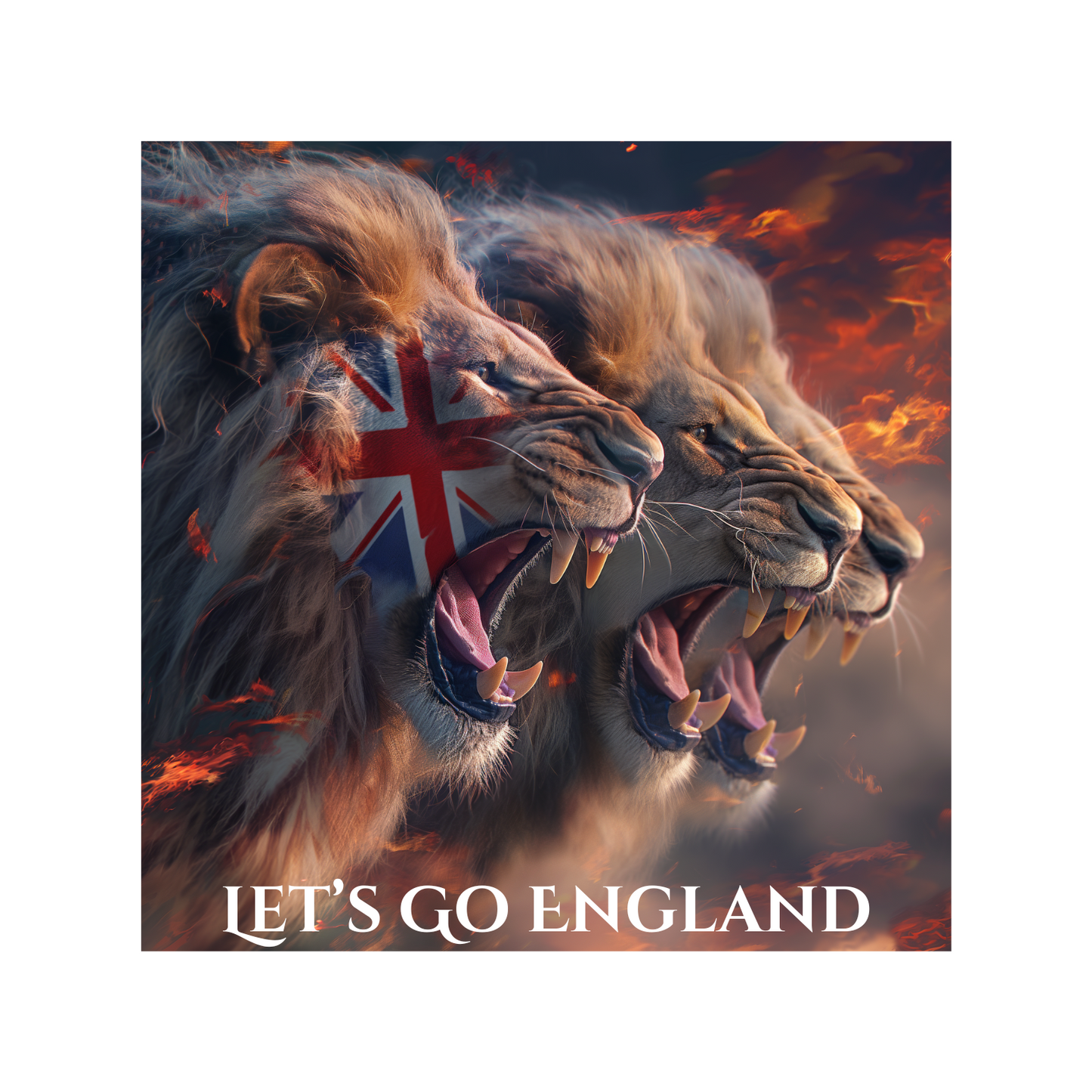 Limited Edition England Three Lions T-Shirt