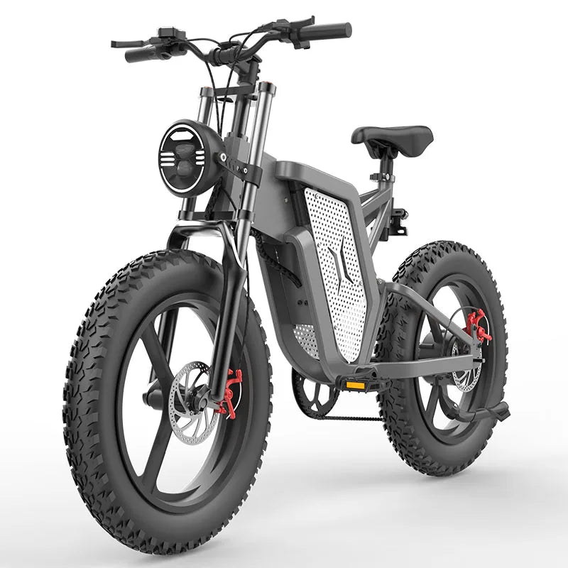 Electric Bicycle 30AH 2000W 48V Adult Mountain Ebike