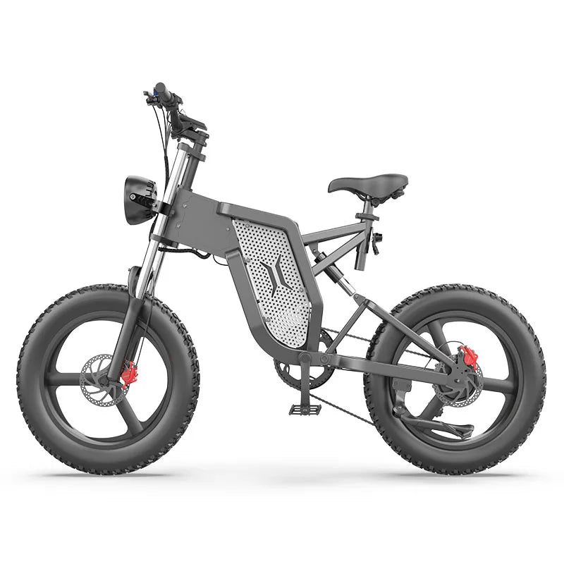 Electric Bicycle 30AH 2000W 48V Adult Mountain Ebike