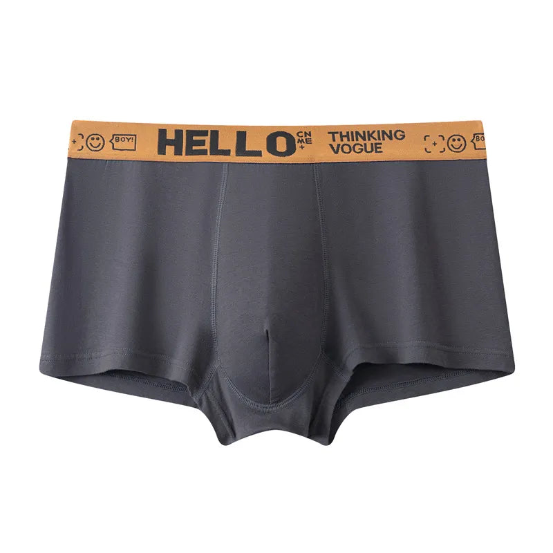 4-Pack Men's Sexy Boxer Underwear 