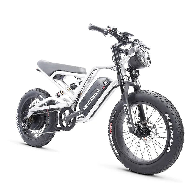 20" Off-road Electric Mountain Bike - 48V Fat Tire EMTB