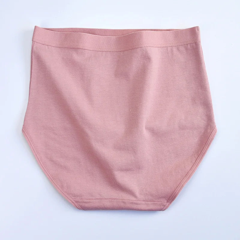 Cotton Comfort Plus Size Panties - 2023 Edition 