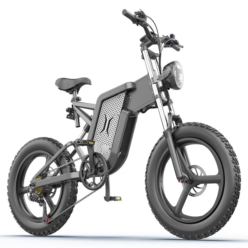 Electric Bicycle 30AH 2000W 48V Adult Mountain Ebike