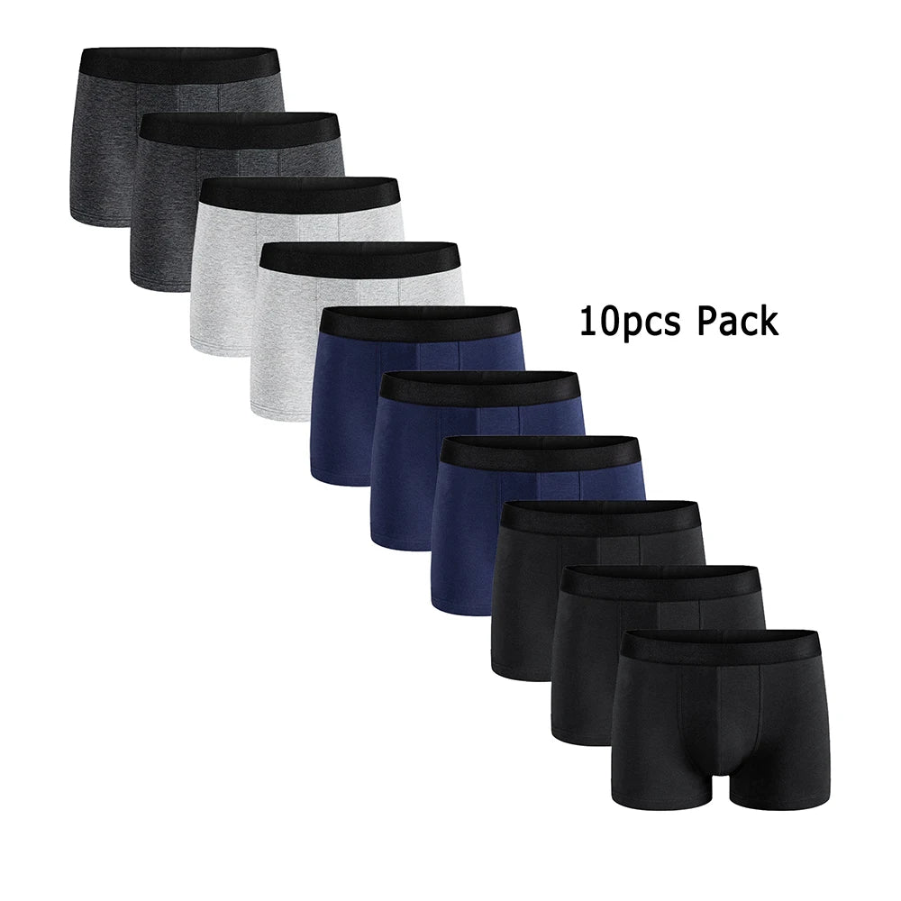 10-Pack 2023 Men's Cotton Underwear 