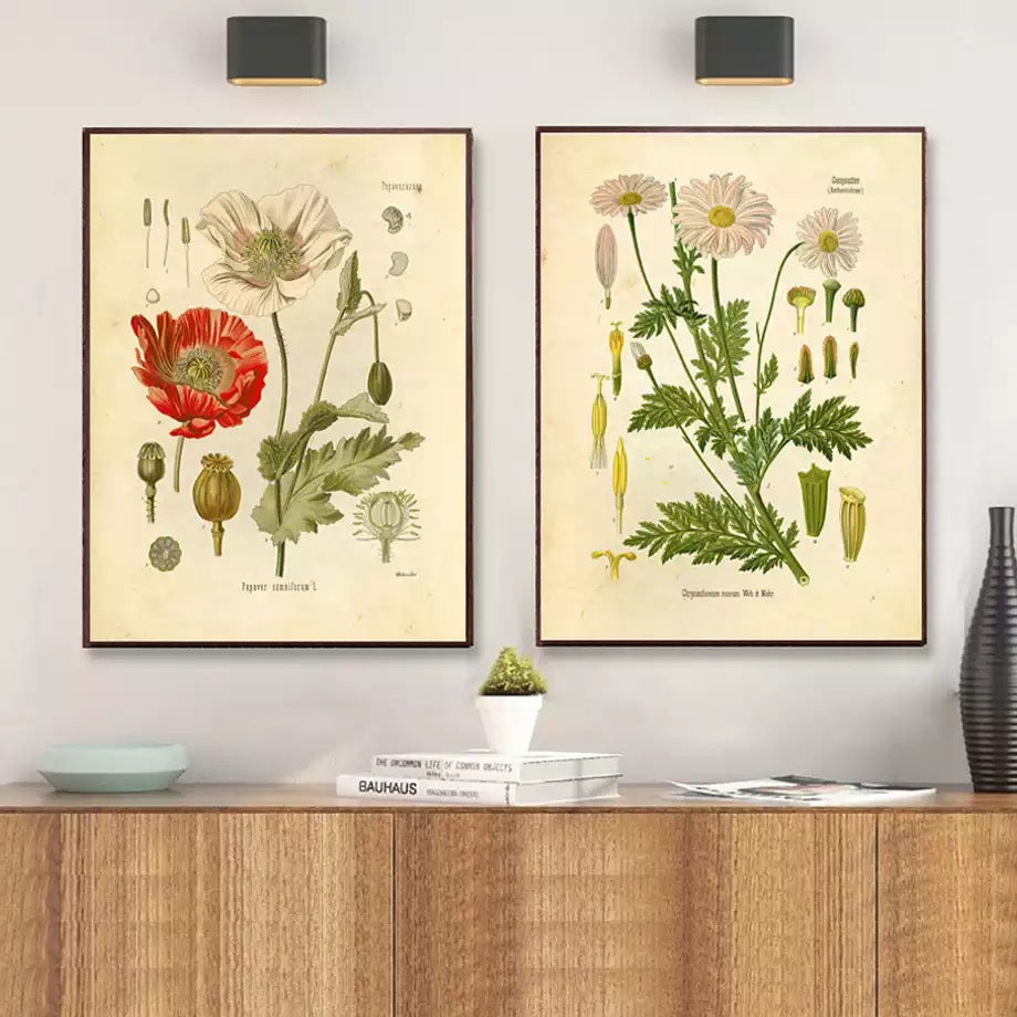 Plants Flower Study Living Room Paintings