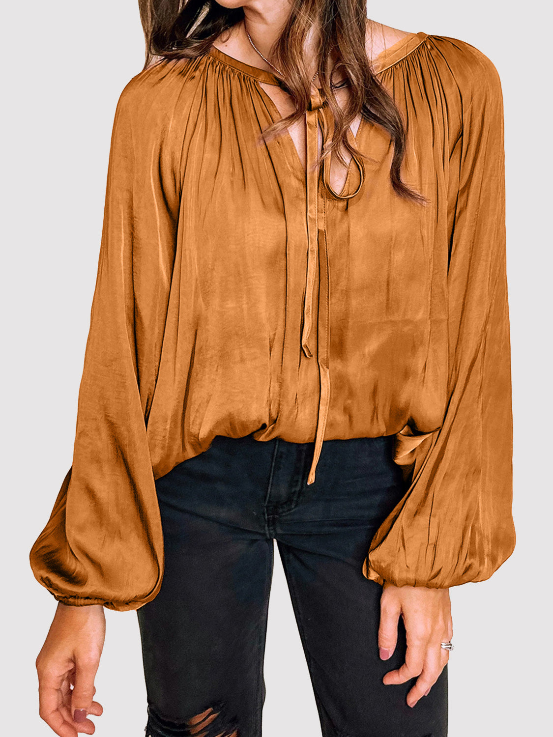 Tie Neck Balloon Sleeve Blouse 