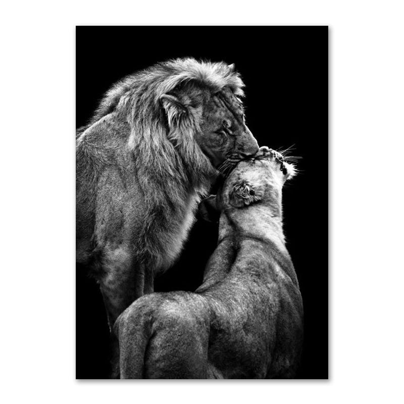 Black And White Lion Family Poster Canvas Print