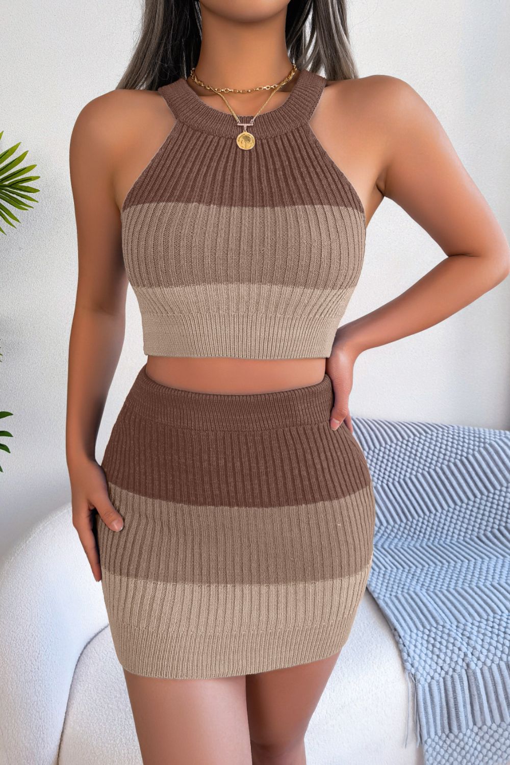 Color Block Sleeveless Crop Knit Top and Skirt Set 