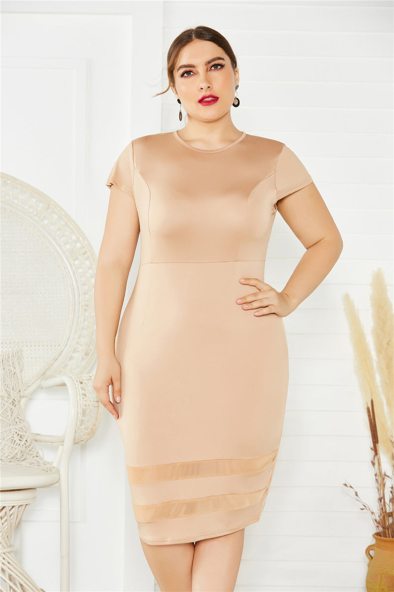 Plus Size Mesh Detail Midi Dress 