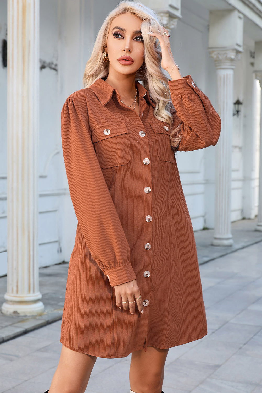 Button Down Puff Sleeve Dress 