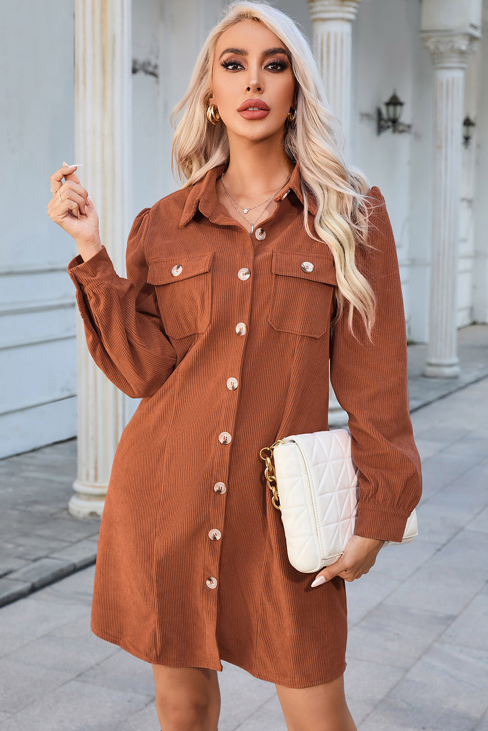 Button Down Puff Sleeve Dress 