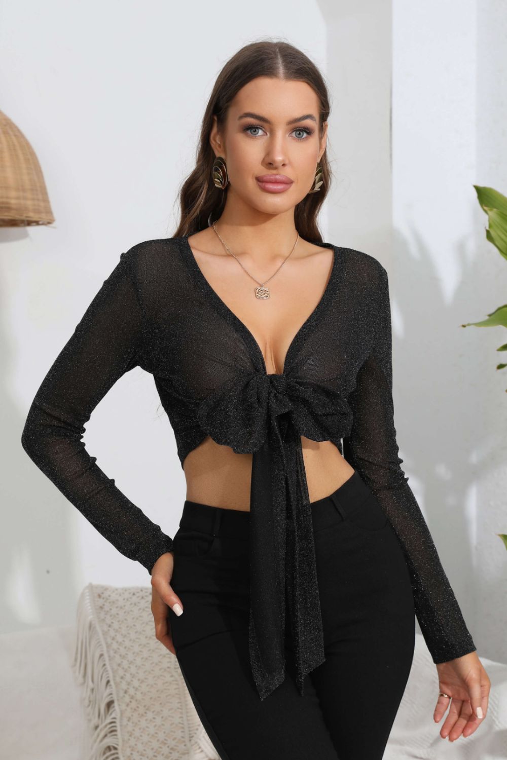 Tie Front Deep V Long Sleeve Crop Top 