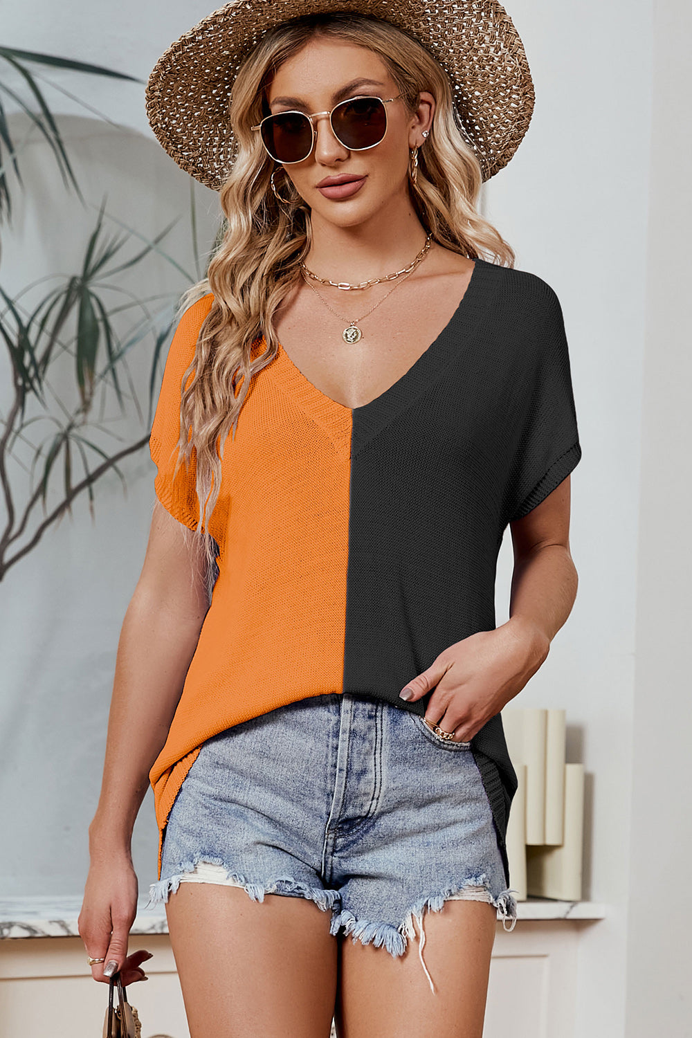 Color Block V-Neck Short Sleeve Knit Top 