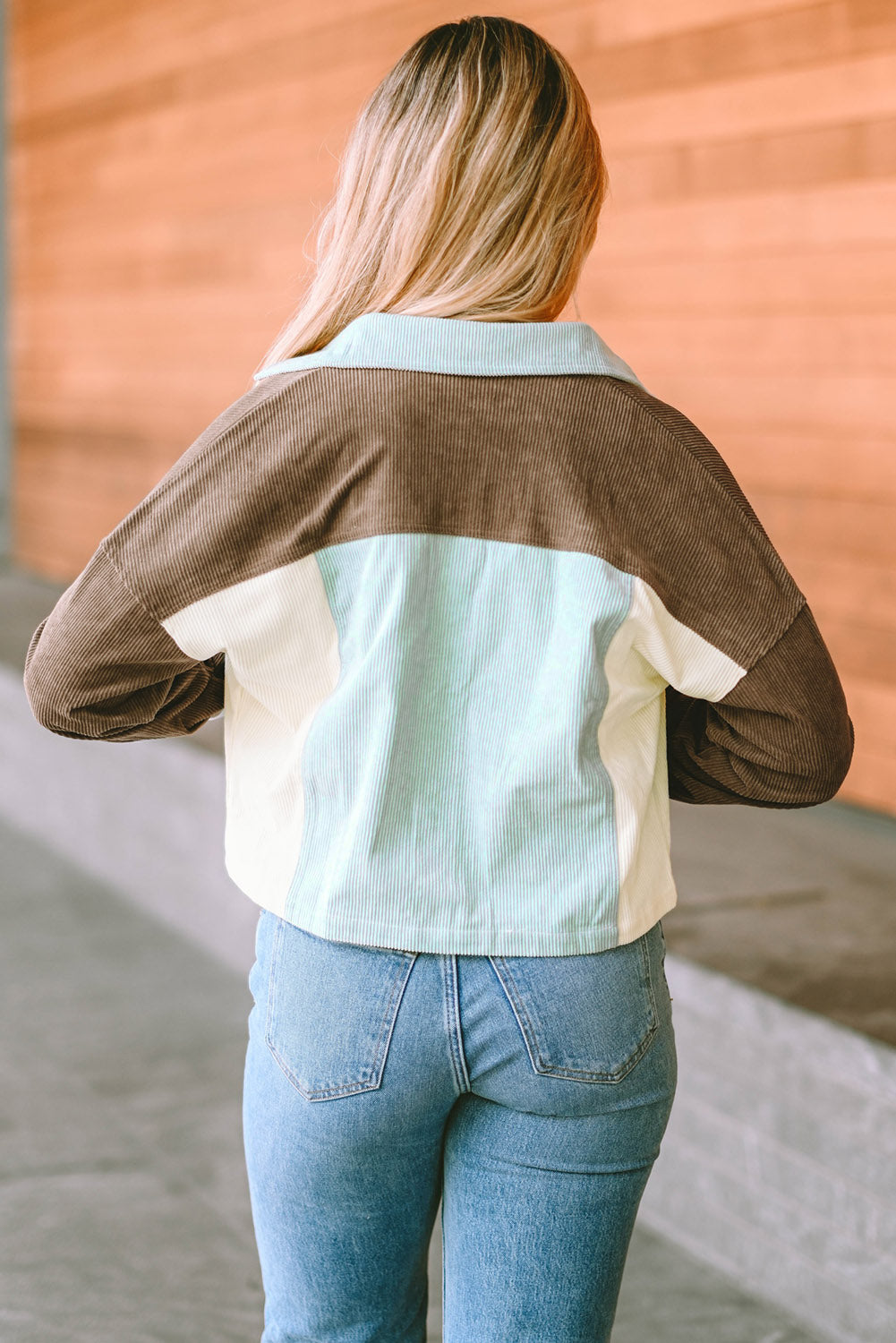 Color Block Collared Neck Jacket 